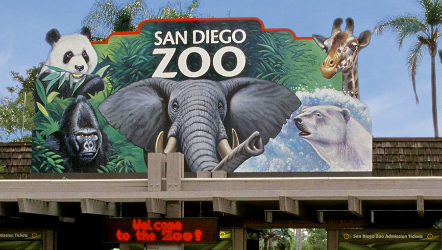 Zoo di San Diego - San Diego | Secret World Trip Planner