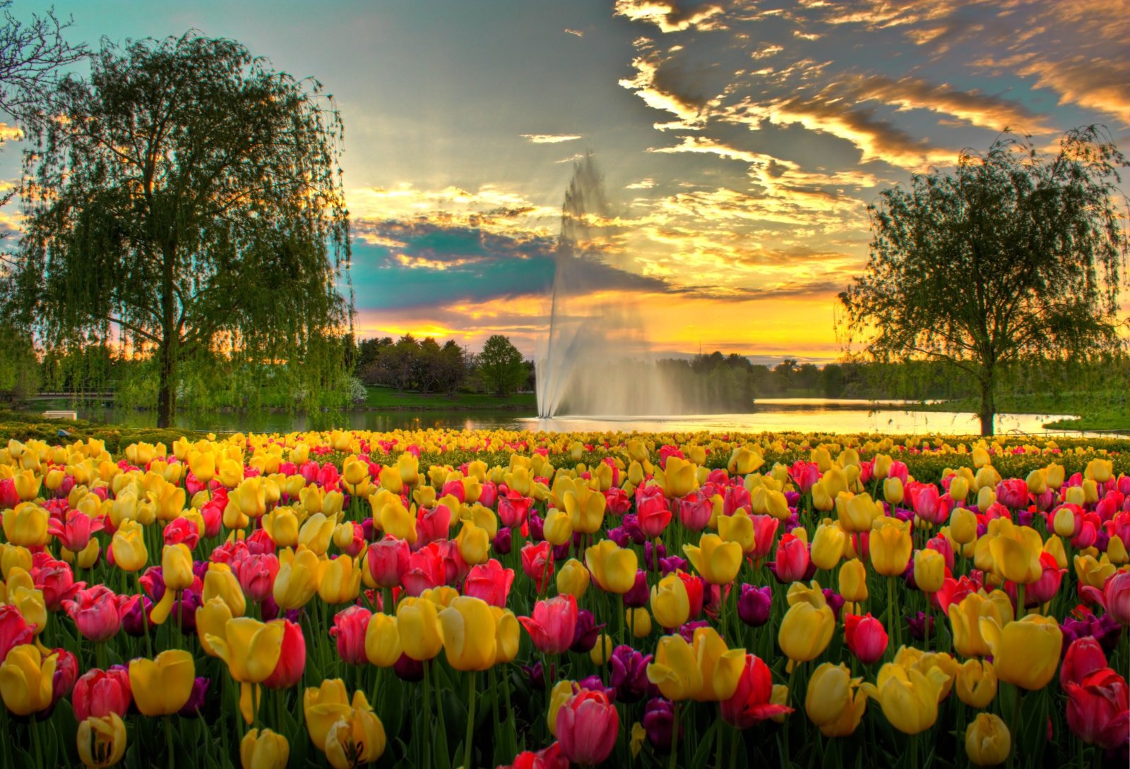 Il Giardino Botanico di Chicago - Glencoe | Secret World Trip Planner