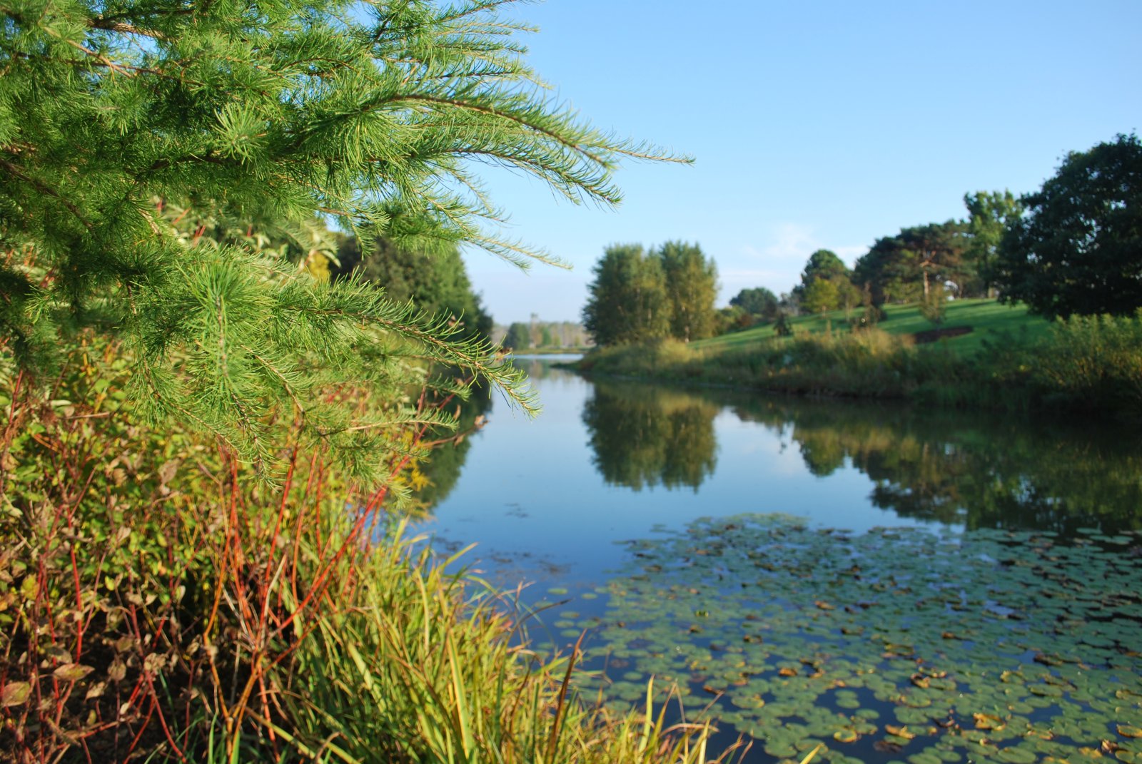 Il Giardino Botanico di Chicago - Glencoe | Secret World Trip Planner