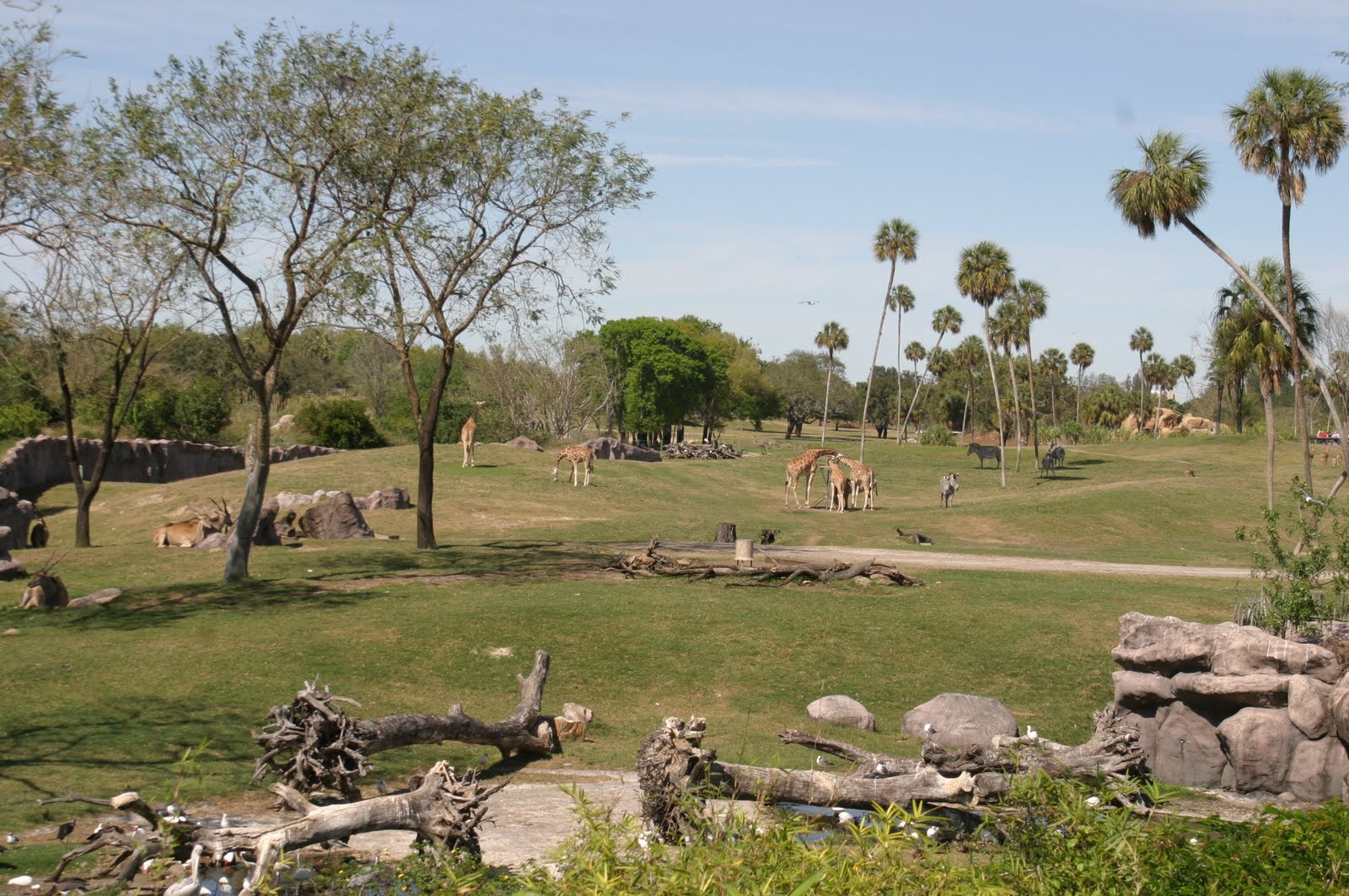 Busch Gardens Tampa Bay - Tampa | Secret World Trip Planner