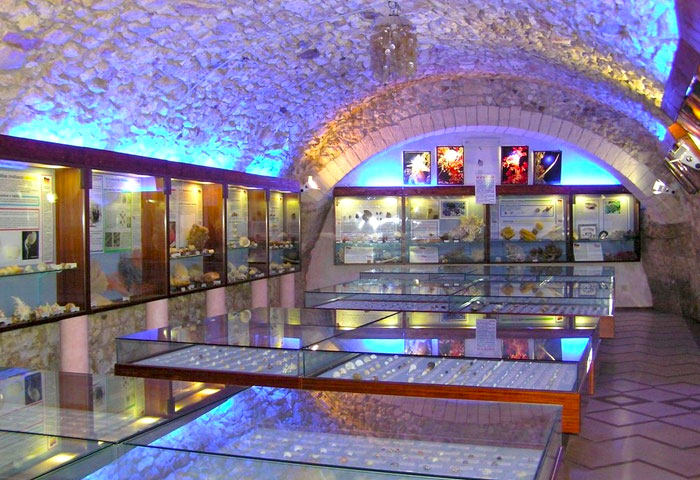 Малакологический осорхонаи - Vieste | Secret World Trip Planner