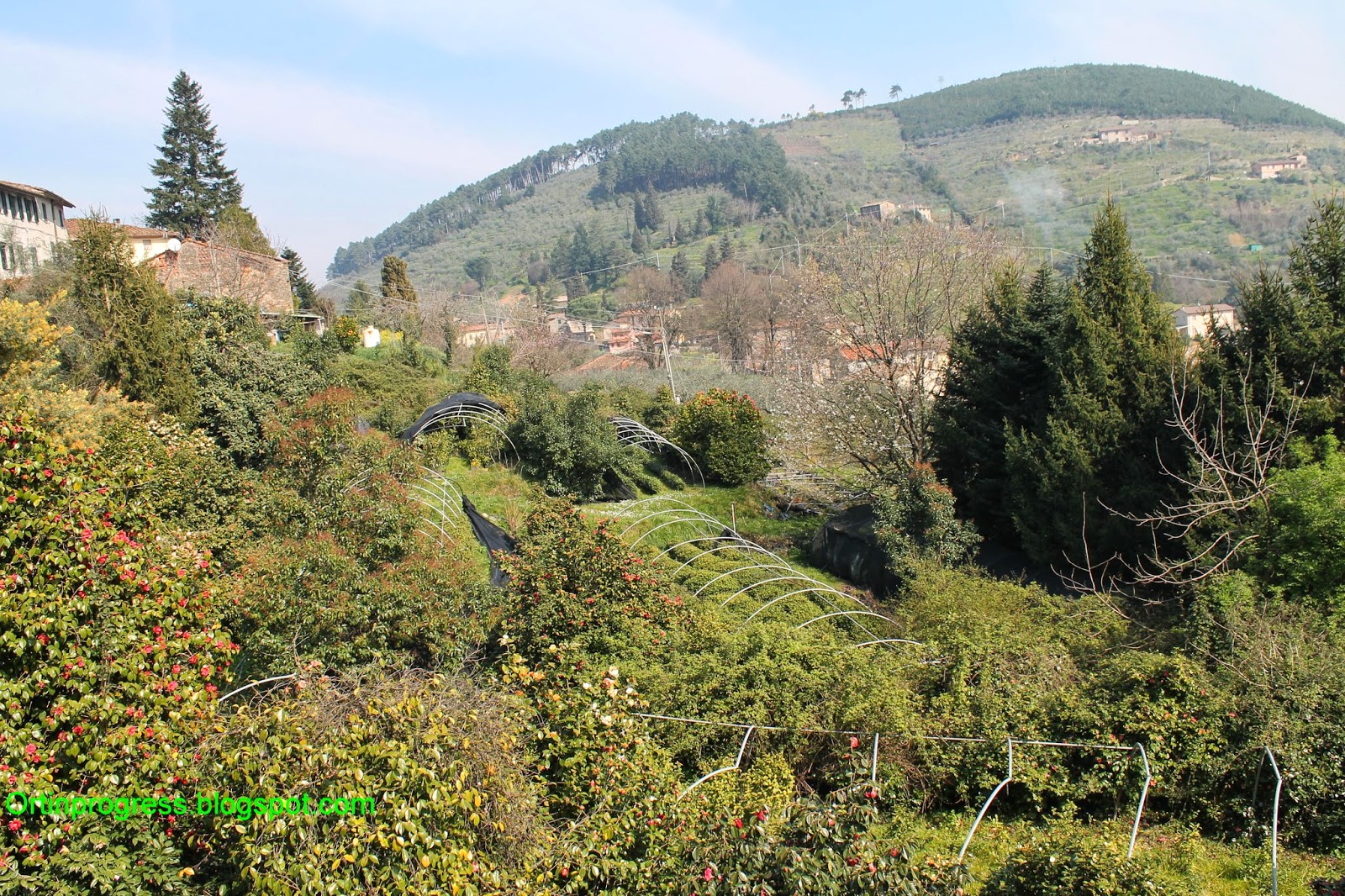 ਏੰਟੀ - ਕੈਂਸਰ ਬੋਵੀਜੀ ਵਿਚਕਾਰ ਚਾਹ ਅਤੇ ਸੁੰਦਰ ਕਾਗਿਨਸੀ - Capannori | Secret World Trip Planner