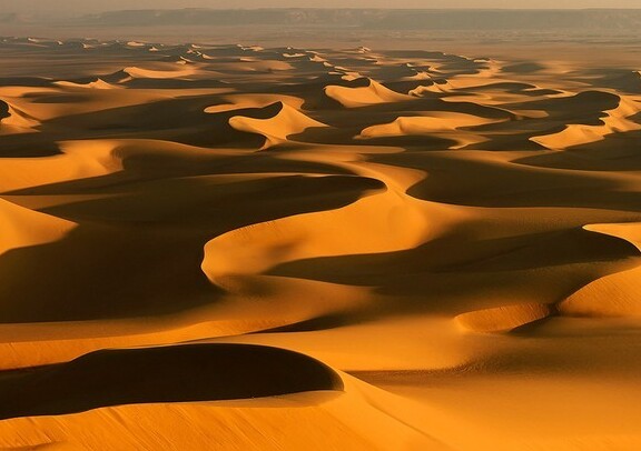 The Sahara Desert is the largest desert in existence. | Secret World Trip Planner