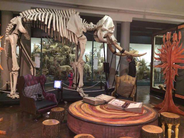 Museo KwaZulu-Natal - Durban | Secret World Trip Planner