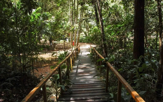 Den kommunala parken i Maceio - Maceió - AL | Secret World Trip Planner