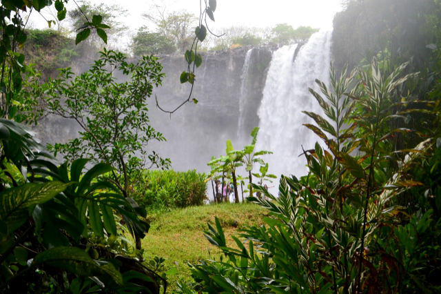 Il Salto de Eyipantla - Eyipantla Falls | Secret World Trip Planner