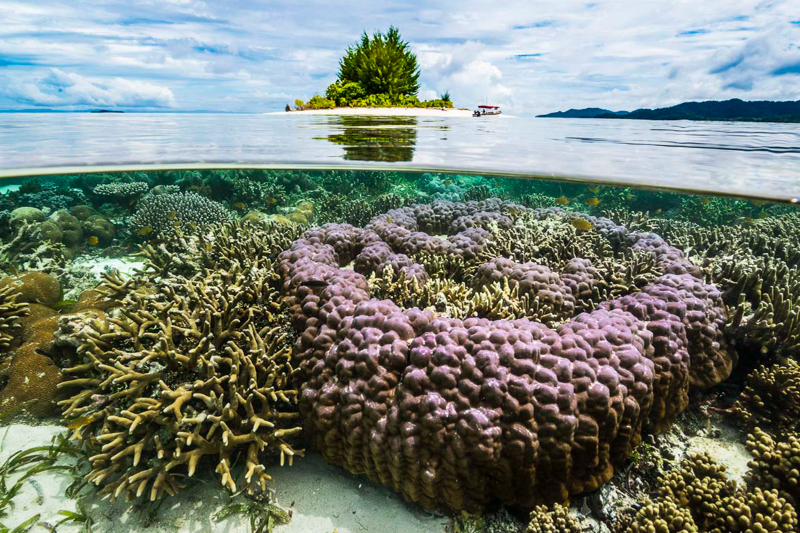 Le Triangle de Corail | Secret World Trip Planner