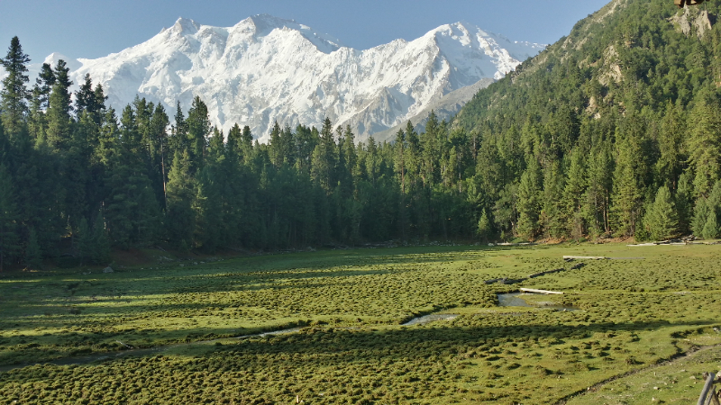 Fairy Meadows National Park, Пакистан - Fairy Meadows | Secret World Trip Planner