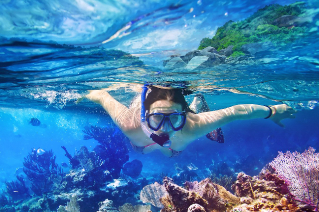 Catalina Island - Isla Catalina | Secret World Trip Planner