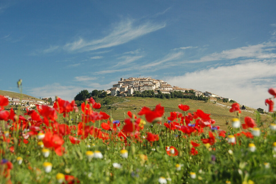 Castelluccio eta Loreak - Castelluccio | Secret World Trip Planner