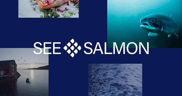SeeSalmon - Brattørkaia 17a | Secret World Trip Planner