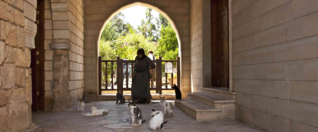 Det hellige kloster St. Nicholas of the Cats - Akrotiri | Secret World Trip Planner