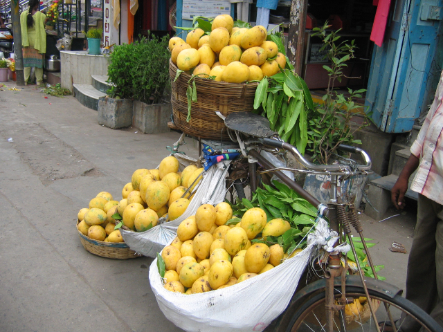 બંગનાપલ્લી કેરી — Banaganapalli