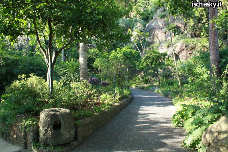 Ischia და ბაღები La mortella - Forio | Secret World Trip Planner