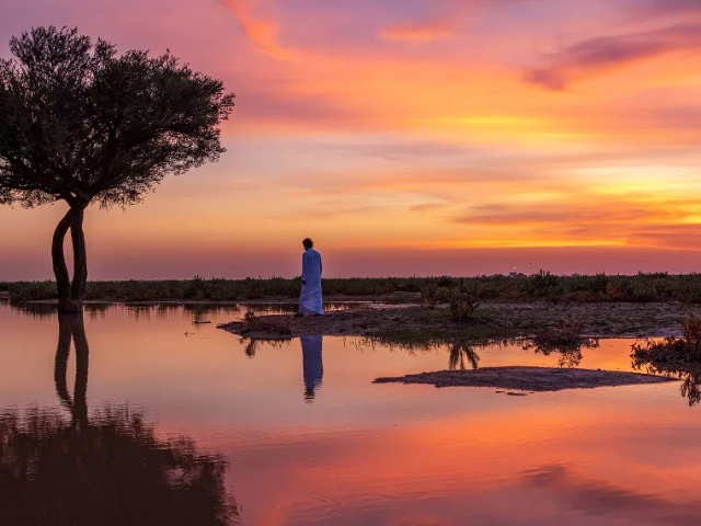 Rawdat Tinhat: A Stroll Among the Tulips - أم رجوم | Secret World Trip Planner