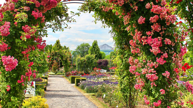 Europa Rosarium - Sangerhausen | Secret World Trip Planner