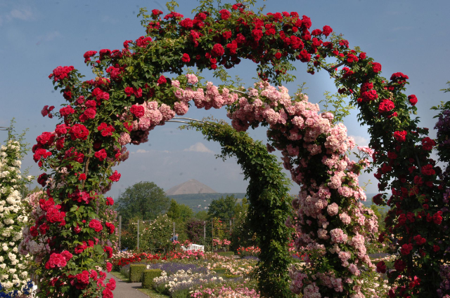 Europa Rosarium - Sangerhausen | Secret World Trip Planner