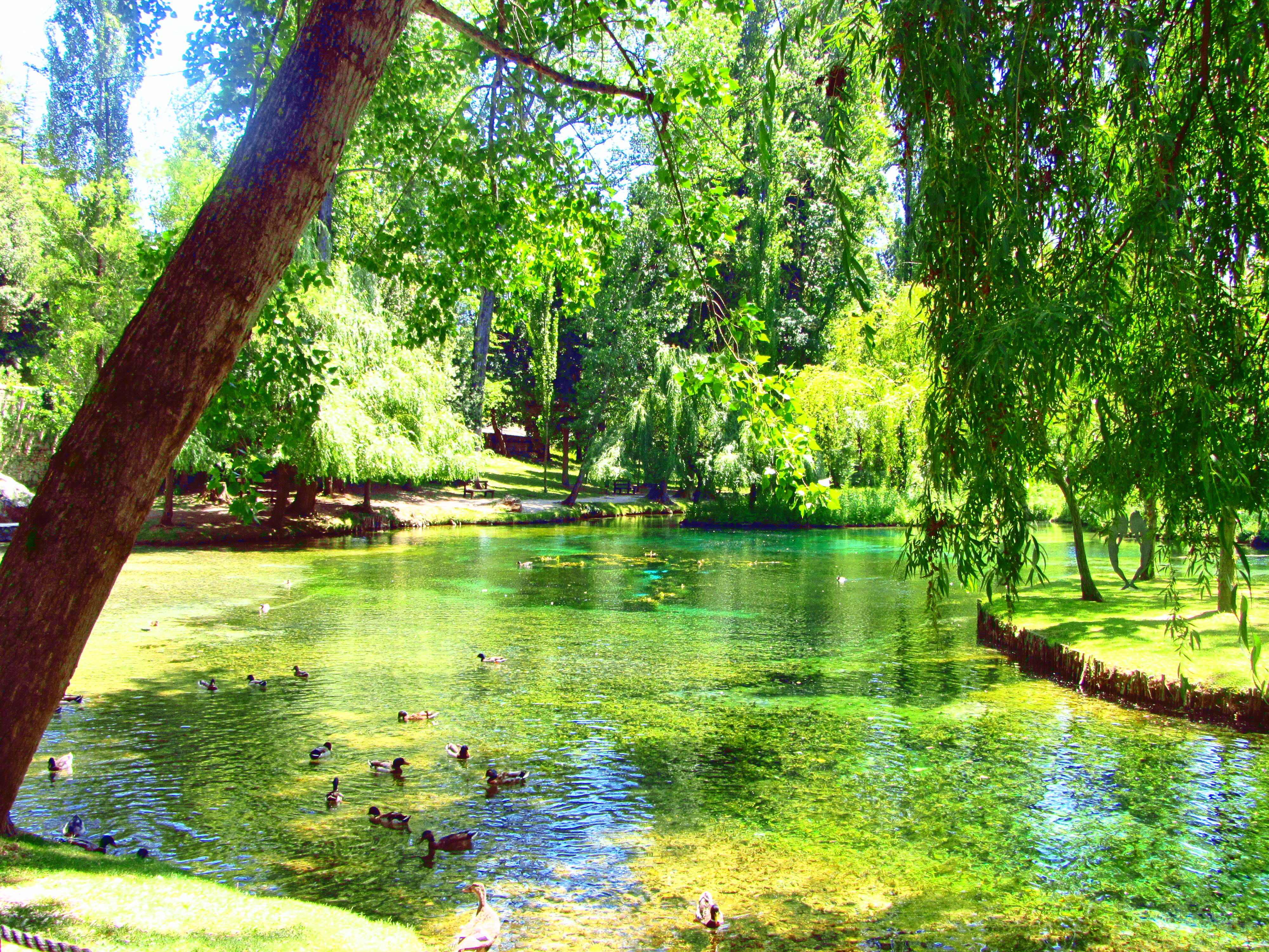 Clitumno allikad - Campello Sul Clitunno | Secret World Trip Planner