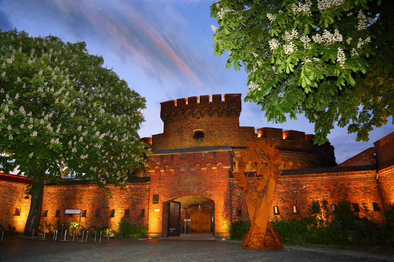 Muzeul Amber - Kaliningrad | Secret World Trip Planner
