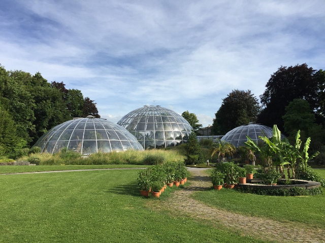 Botanische tuin — Zürich