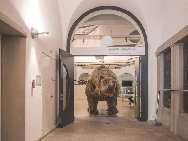 Zoologisk museum, Zürichs universitet - Zürich | Secret World Trip Planner