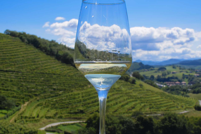 Вино Txakoli - San Sebastián | Secret World Trip Planner
