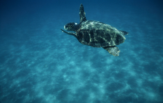 Průzkum oázy WWF Policoro - 1 | Secret World Trip Planner