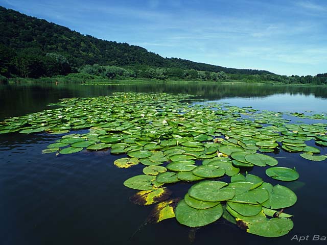 Езера Monticchio - Laghi di Monticchio | Secret World Trip Planner