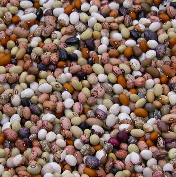 Kacang Sarconi PGI - Sarconi | Secret World Trip Planner