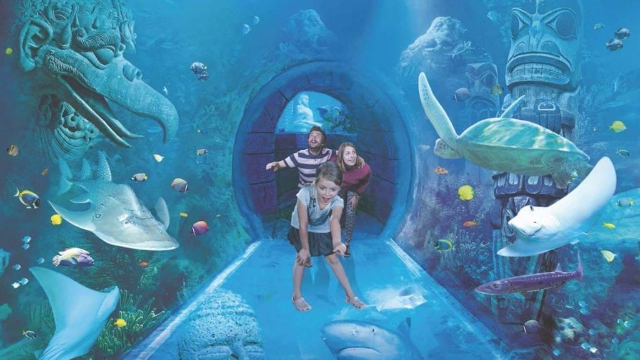 SEA LIFE Orlando Aquariuma - Orlando | Secret World Trip Planner