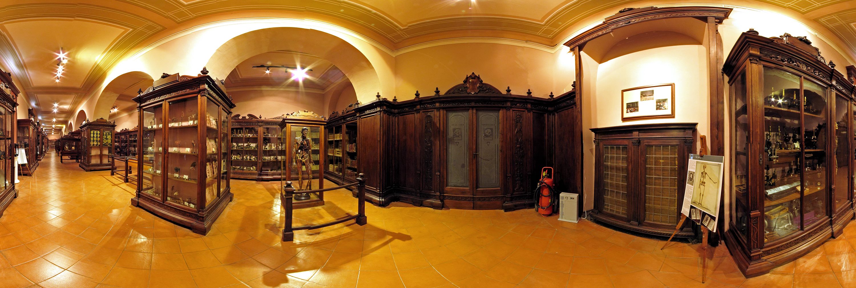 Museu de Anatomia - Napoli | Secret World Trip Planner