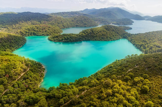 L'arte senza tempo della caccia Un viaggio nel cuore della natura in Croazia — 23445