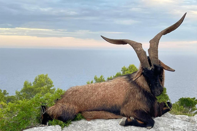 L'arte senza tempo della caccia Un viaggio nel cuore della natura in Croazia - 23445 | Secret World Trip Planner