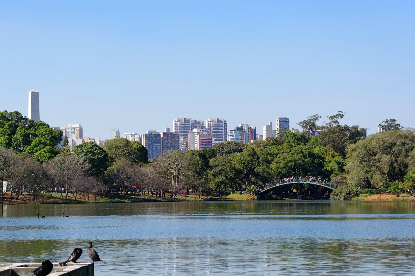 Ibirapuera Park - São Paulo - SP | Secret World Trip Planner