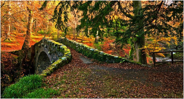 Tollymore Forest Park - Bryansford Rd | Secret World Trip Planner