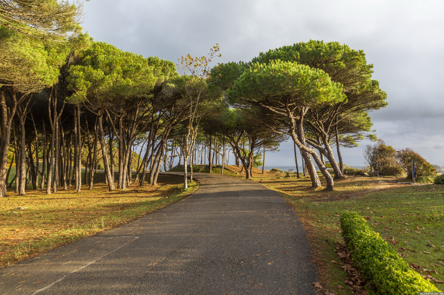 Taman Magdalena - Santander | Secret World Trip Planner