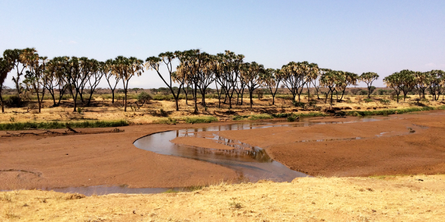 Dalle foreste ai deserti: La natura selvaggia color ruggine del Kenya settentrionale - Monte Kenya | Secret World Trip Planner