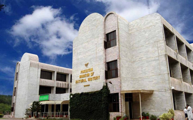 Museo de Historia Natural de Pakistán (PMNH) - Islamabad | Secret World Trip Planner