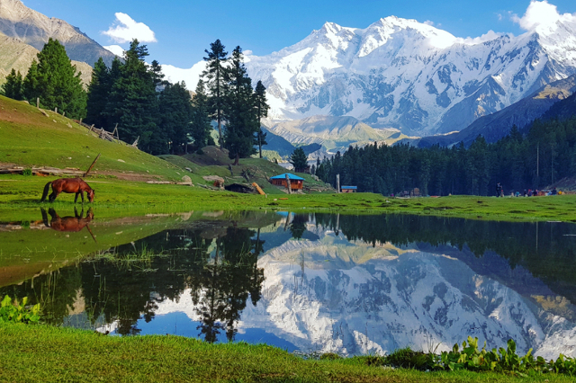 Les prairies des fées | Secret World Trip Planner