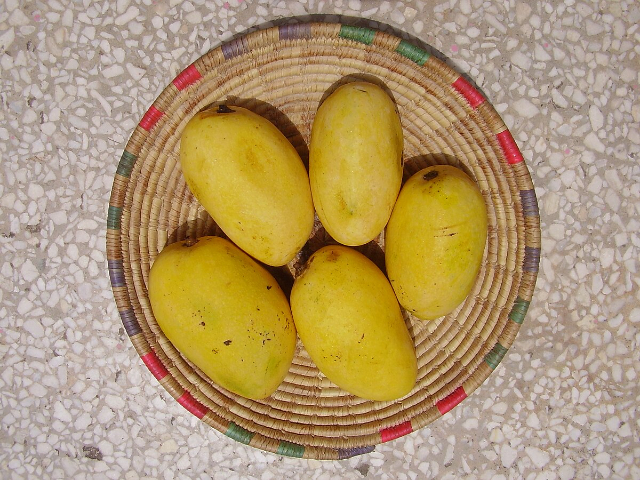 Chaunsa mango - Kurukshetra | Secret World Trip Planner
