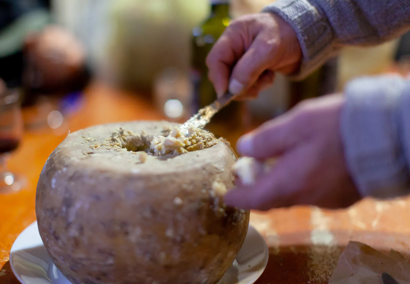 Casu Marzu - Italie - Sardegna | Secret World Trip Planner
