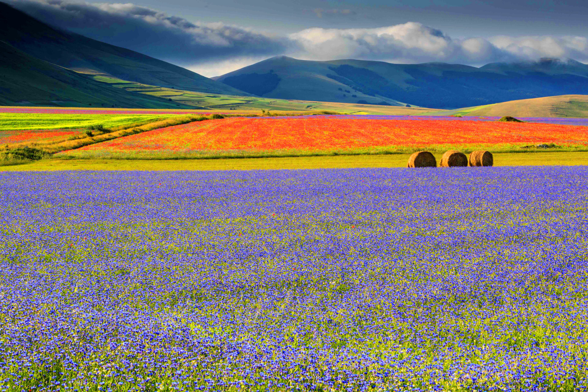 Кастеллуччиогийн цэцэглэлт - Castelluccio | Secret World Trip Planner