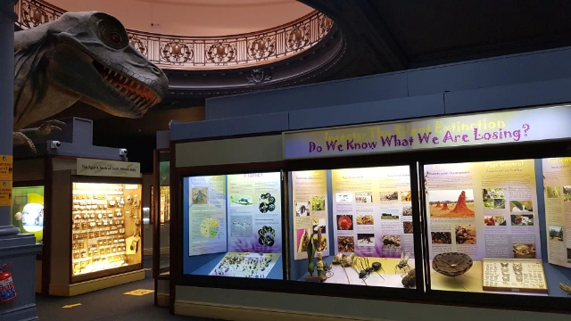 Durban Natural Science Museum - Durban | Secret World Trip Planner