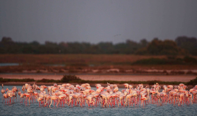 chundikulam national park - Pachchilapalli | Secret World Trip Planner