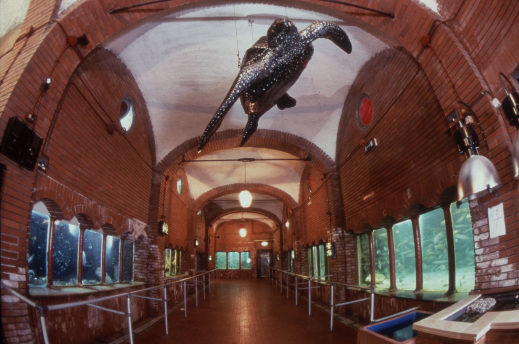 Anton Dohrn Zoological Station of Naples - Napoli | Secret World Trip Planner