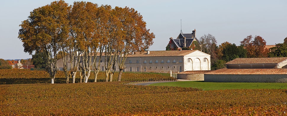 Chateau Mouton Rothschild - Pauillac | Secret World Trip Planner