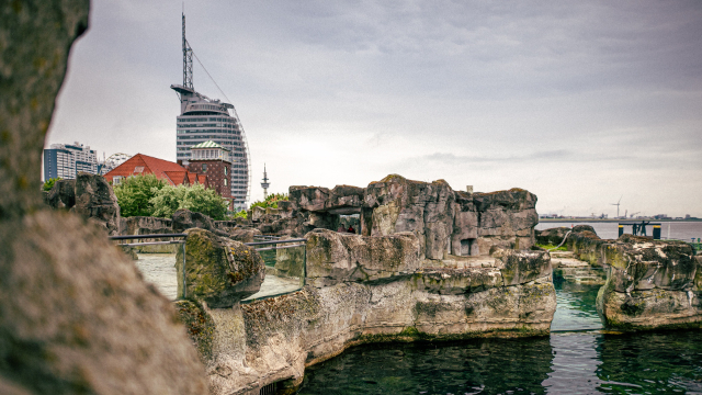 Zoo en bord de mer - Bremerhaven | Secret World Trip Planner