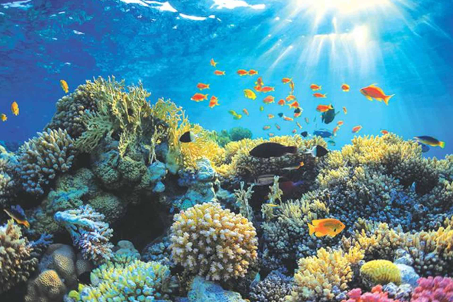 Hikkaduwa - Hikkaduwa | Secret World Trip Planner