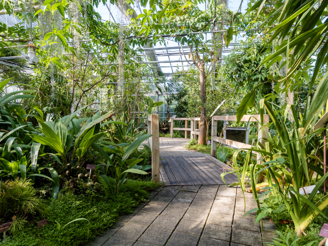 Conservatoire Botanique National de Brest — Brest