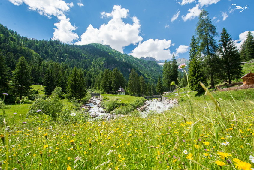 Val Genova, dolina slapov - Val Genova | Secret World Trip Planner